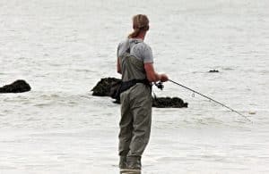 Read more about the article Florida fishing license requirements