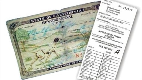 Read more about the article How to Get Hunting License in California